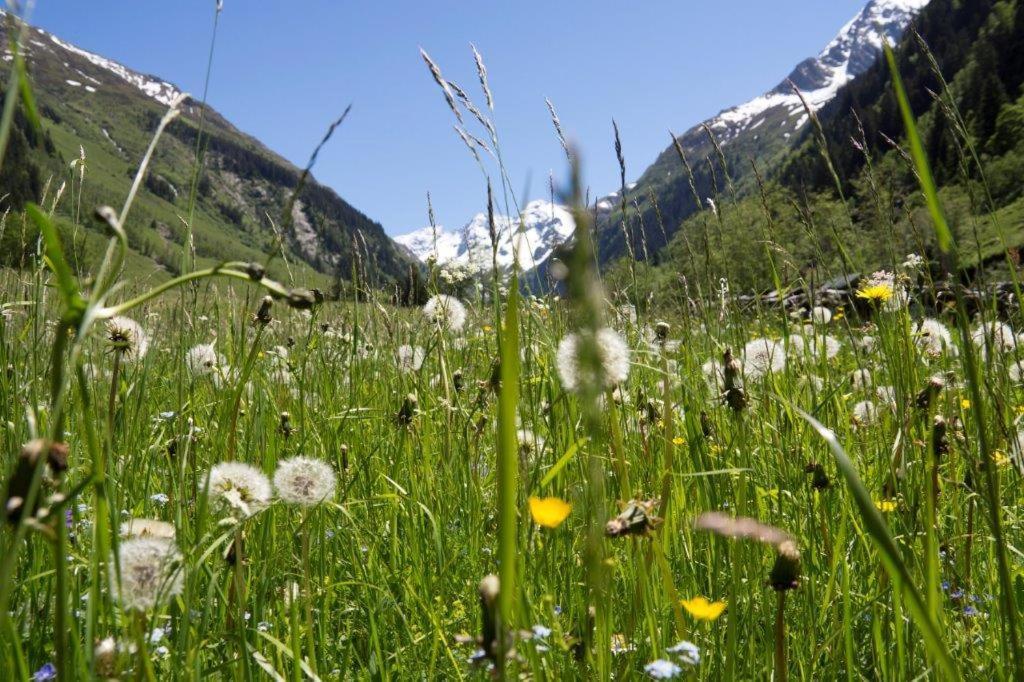 Neuhaushof Apartment Hollersbach im Pinzgau Bagian luar foto