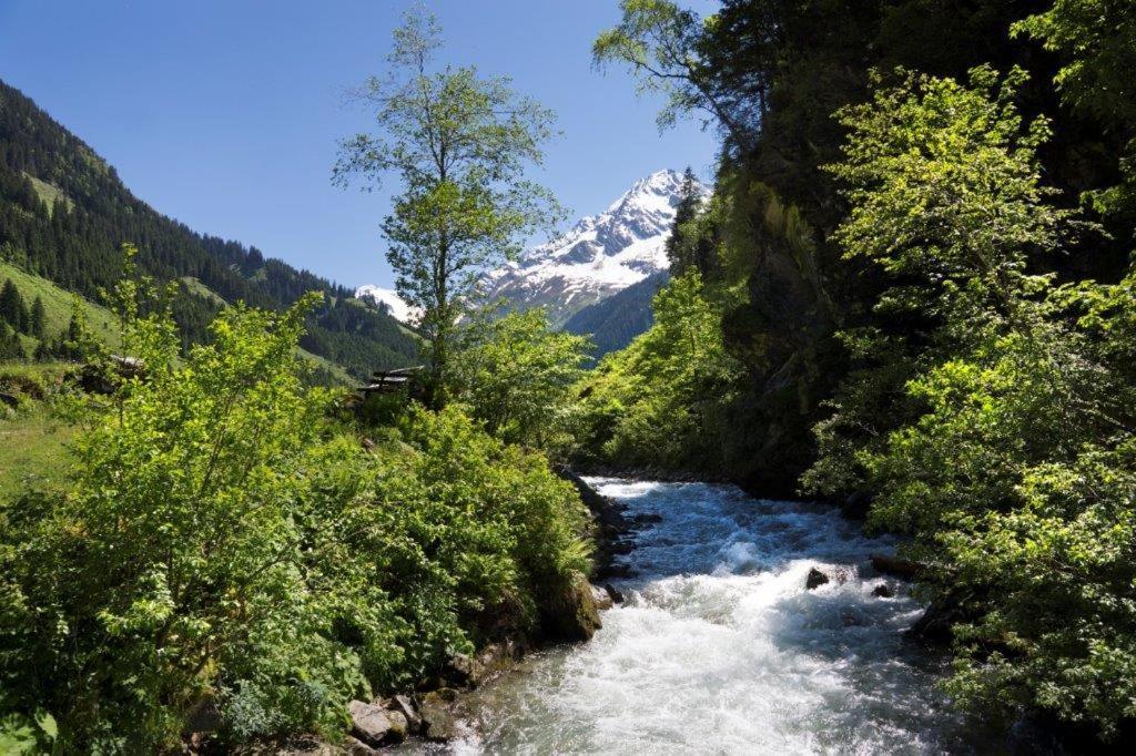 Neuhaushof Apartment Hollersbach im Pinzgau Bagian luar foto