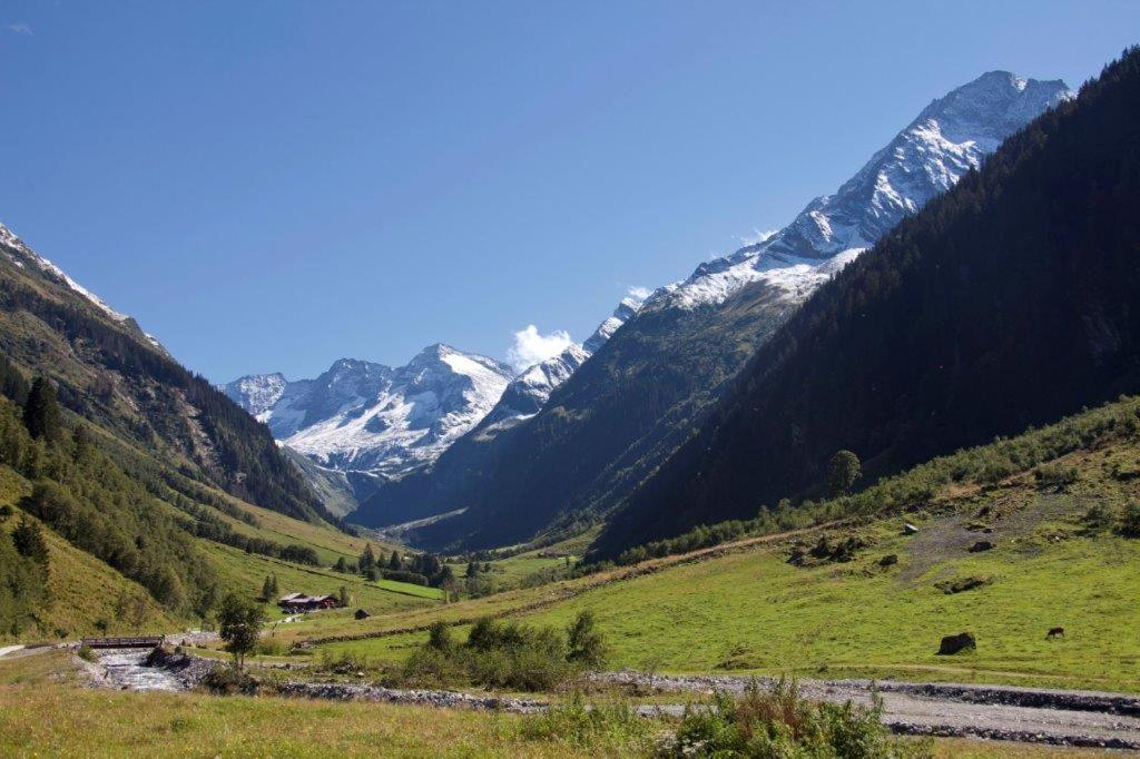 Neuhaushof Apartment Hollersbach im Pinzgau Bagian luar foto